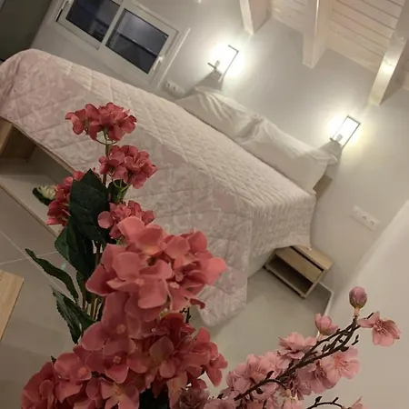 Terpsichore Boutique Bright New Sofita And 3*