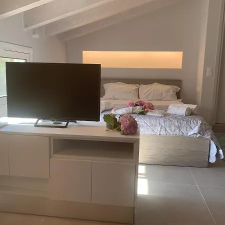 Terpsichore Boutique Bright New Sofita And