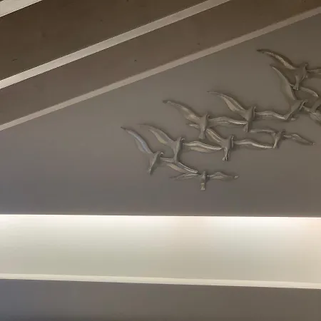 Terpsichore Boutique Bright New Sofita And 3*